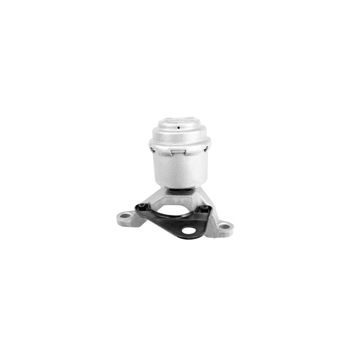 Poduszka silnika Professional Parts 62432250