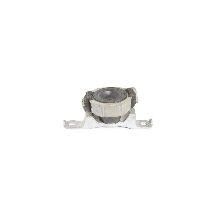 Poduszka silnika prawa Professional Parts 62432676