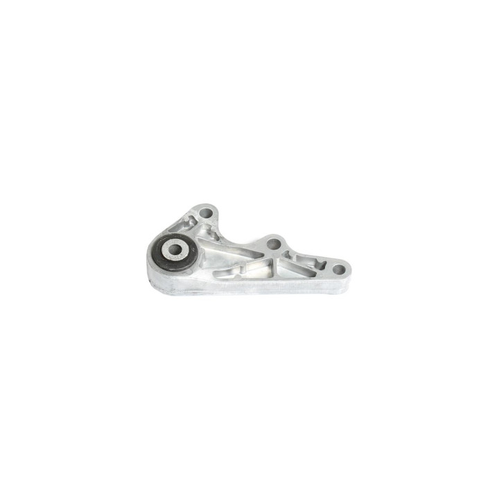 Poduszka silnika dolna Professional Parts 62436626