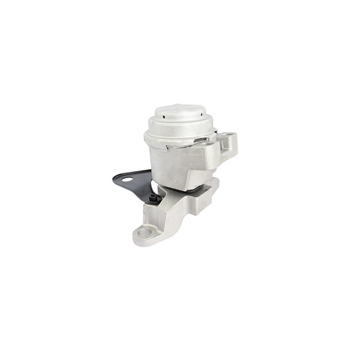 Poduszka silnika prawa Professional Parts 62437790