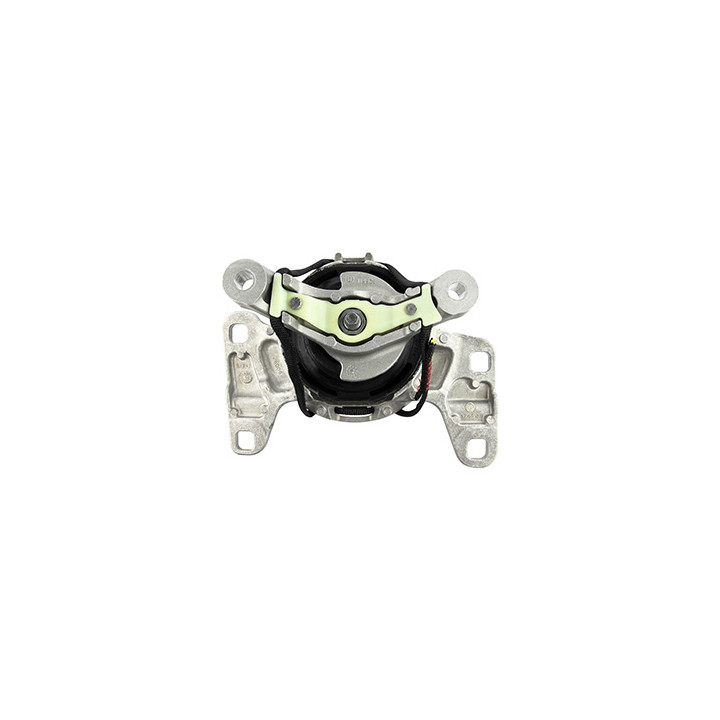 Poduszka silnika Professional Parts 62439639