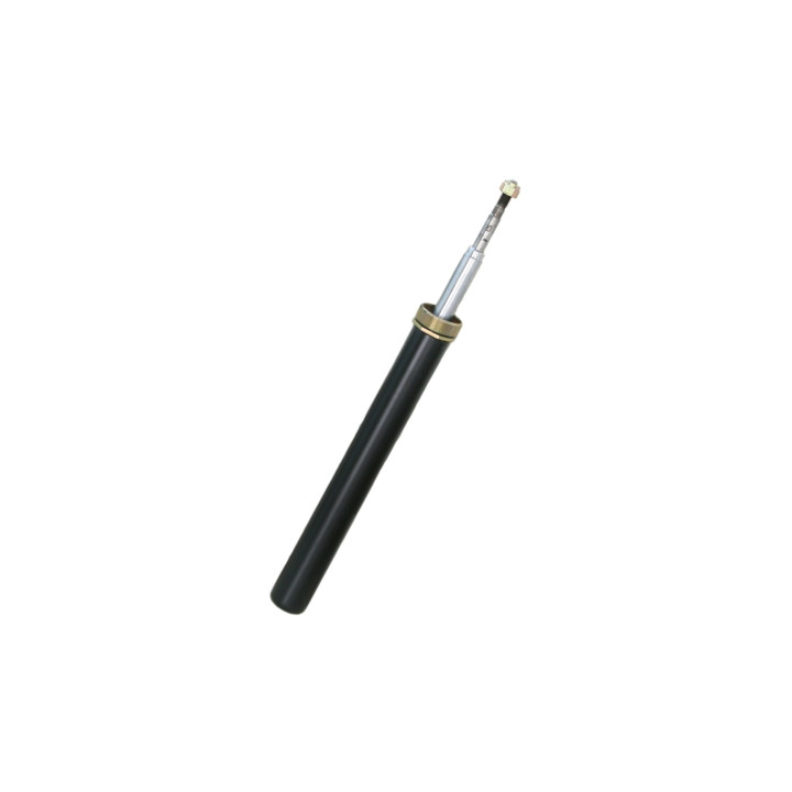 Amortyzator przód Professional Parts 72438458