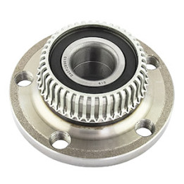 Piasta koła tył Professional Parts 77023456