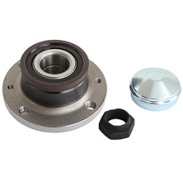 Piasta koła tył Professional Parts 77120540
