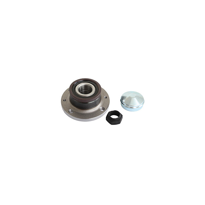 Piasta koła tył Professional Parts 77120540