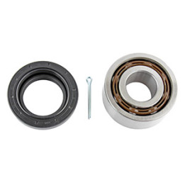 Zestaw łożyska koła Professional Parts 77345128