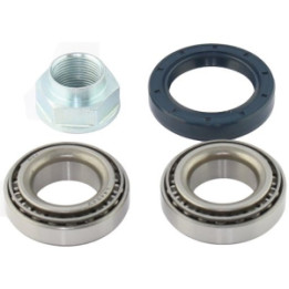 Zestaw łożyska koła tył Professional Parts 77346232