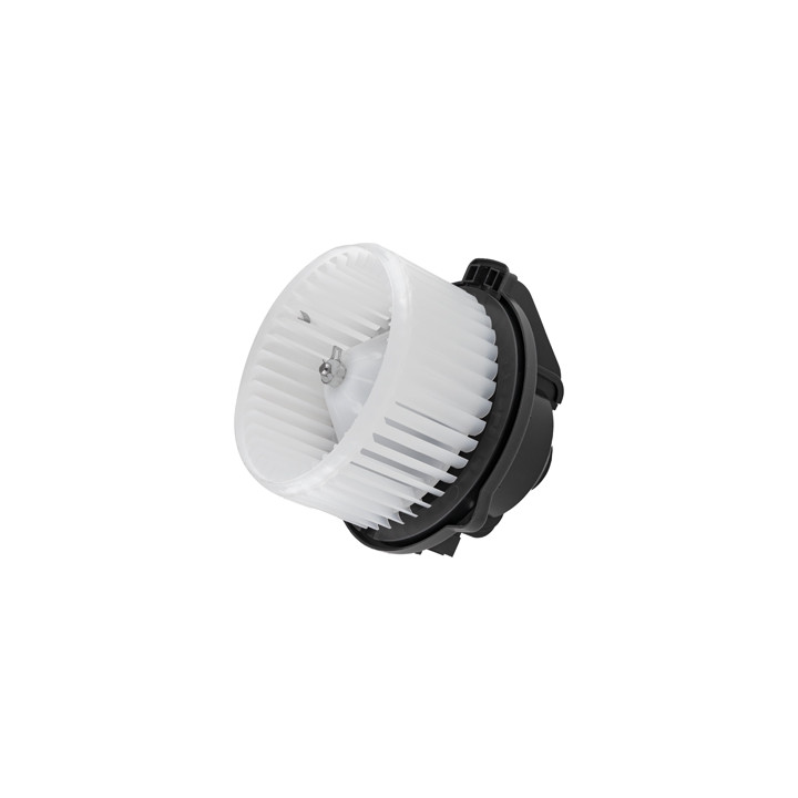 Silnik dmuchawy Professional Parts 87230050