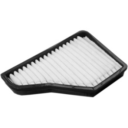 Filtr kabinowy węglowy Professional Parts 87250060