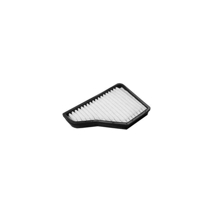 Filtr kabinowy węglowy Professional Parts 87250060