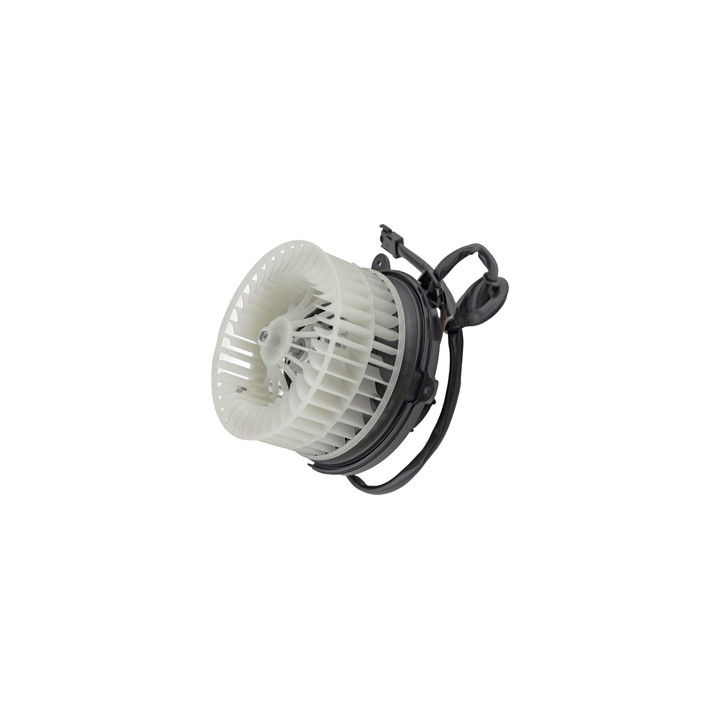 Silnik dmuchawy Professional Parts 87250142