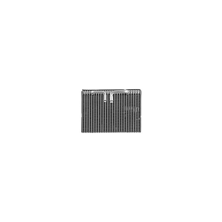 Parownik klimatyzacji Professional Parts 87341308