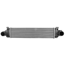 Intercooler Professional Parts 87430014