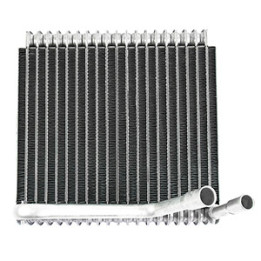 Parownik klimatyzacji Professional Parts 87431781