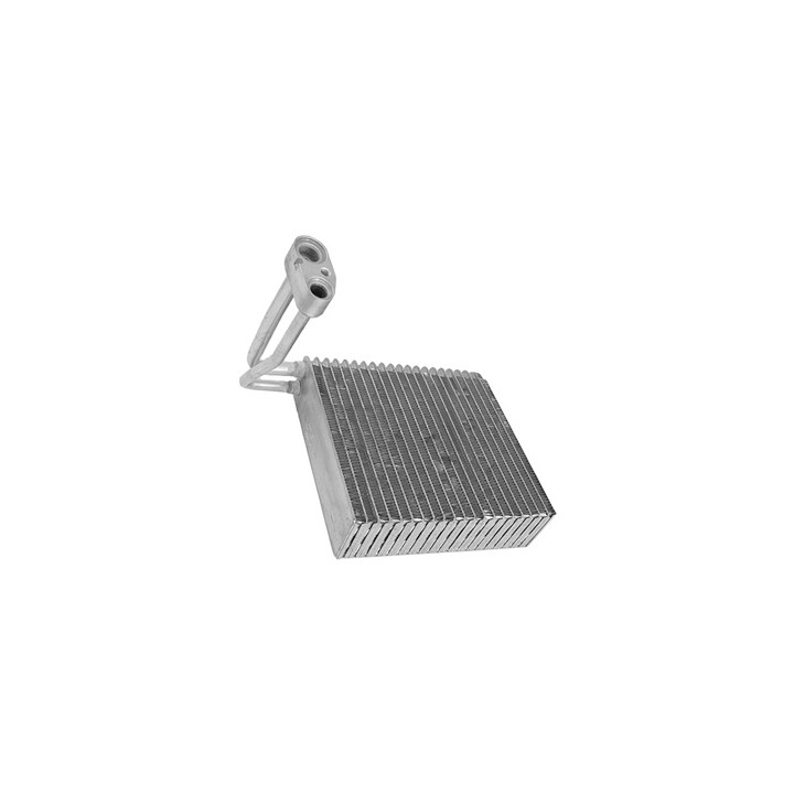 Nagrzewnica Professional Parts 87437329