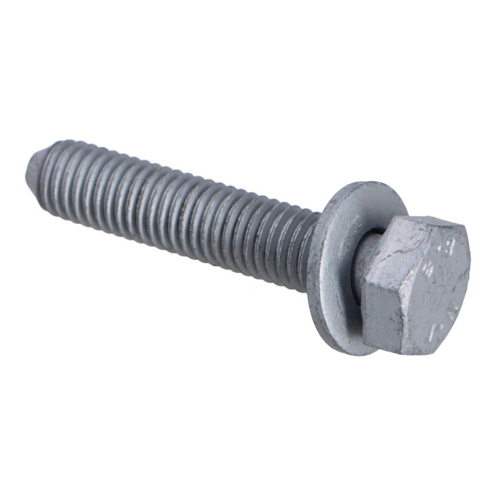 Flange screw Volvo (31251076)