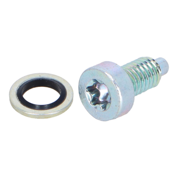 Set screw Volvo (31256956)