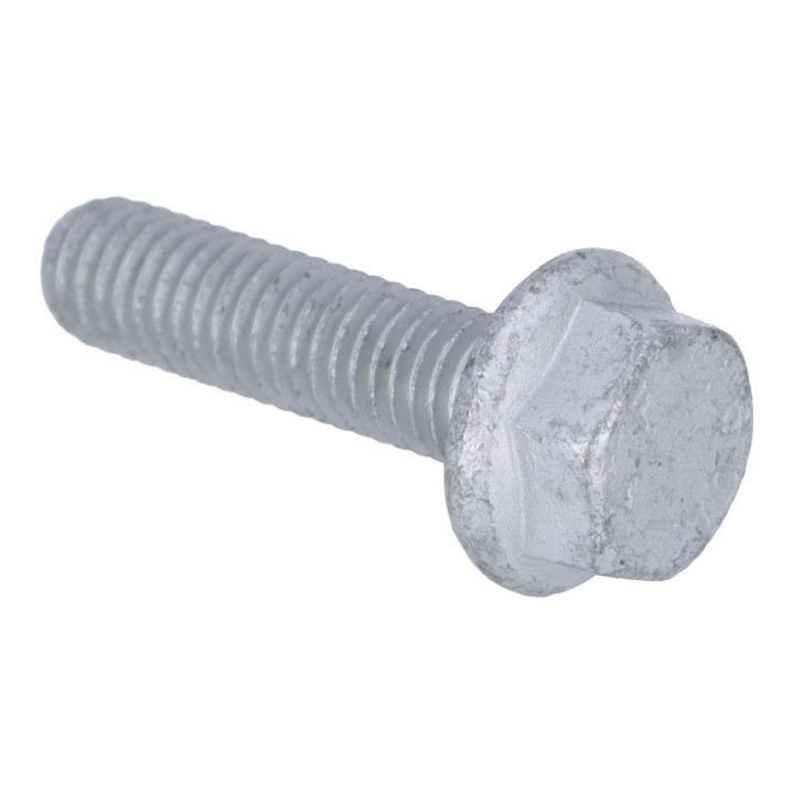 Flange screw Volvo (31216400)