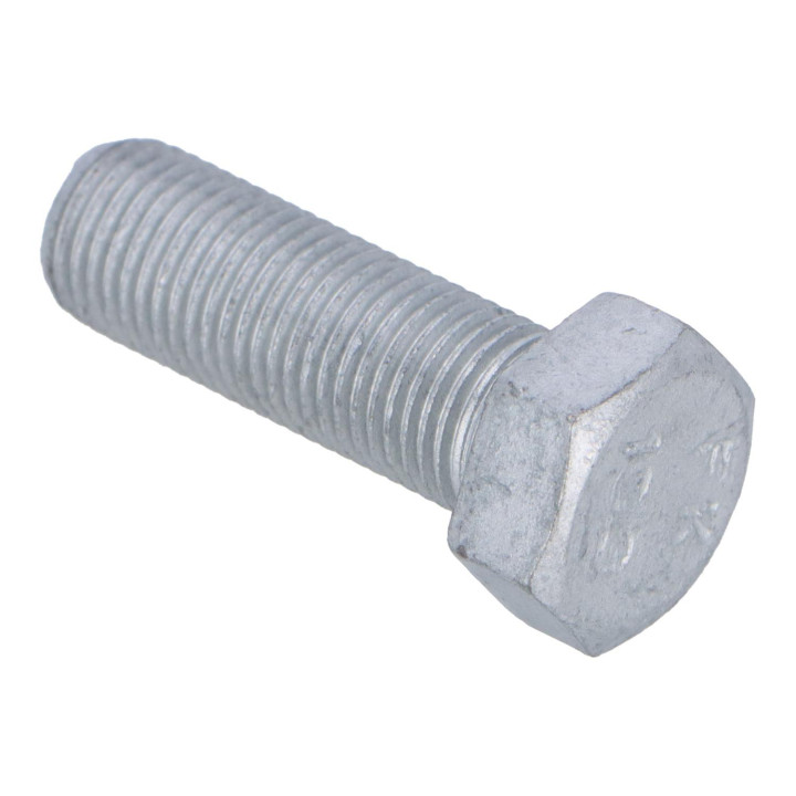 Screw Volvo (31216541)