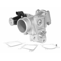 Zawór spalin EGR BorgWarner 729005D