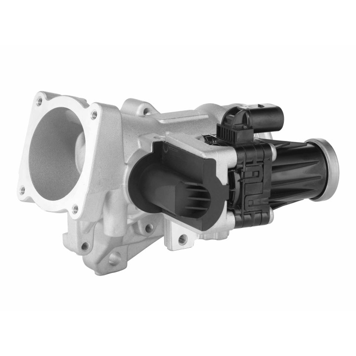 Zawór spalin EGR BorgWarner 729005D
