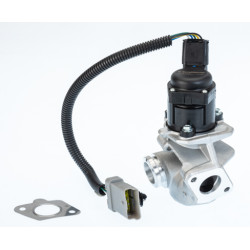Zawór spalin EGR BorgWarner 710936D