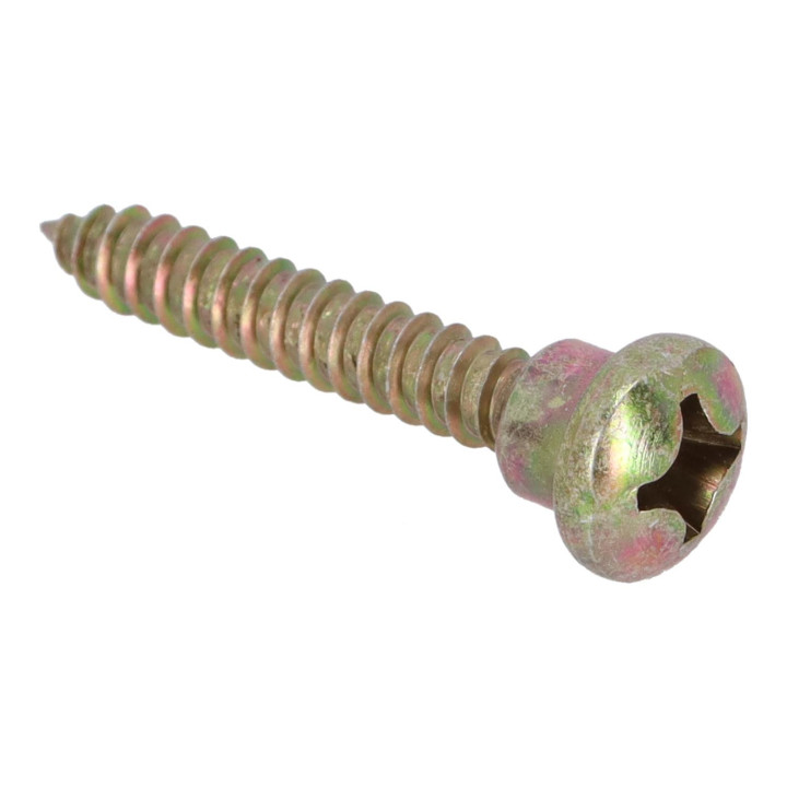 Screw Volvo (1310449)