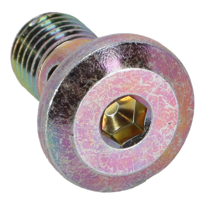 Hollow screw Volvo (1272592)