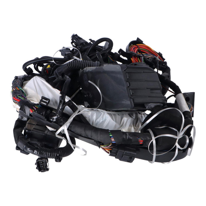 Wiring harness Volvo (31296825)