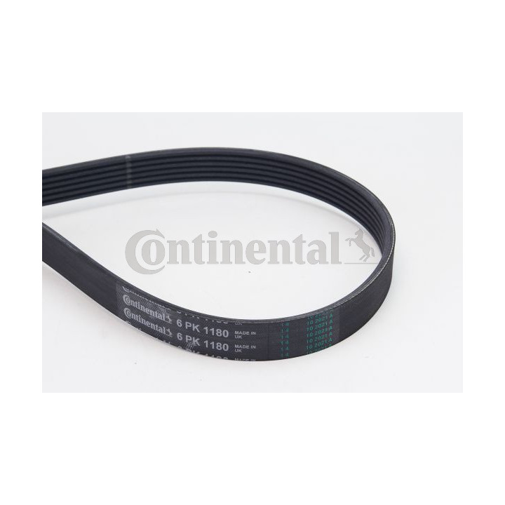 Pasek klinowy wielorowkowy CONTINENTAL CTAM 6PK1180