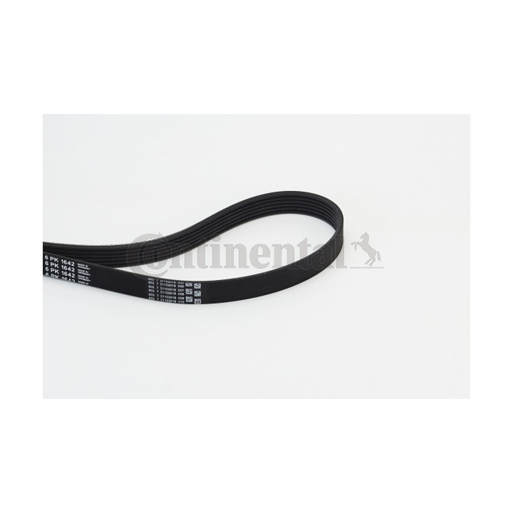 Pasek klinowy wielorowkowy CONTINENTAL CTAM 6PK1642