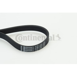 Pasek klinowy wielorowkowy CONTINENTAL CTAM 6PK1270