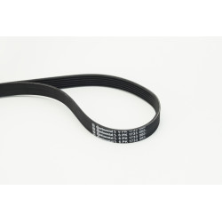 Pasek klinowy wielorowkowy CONTINENTAL CTAM 6PK1733