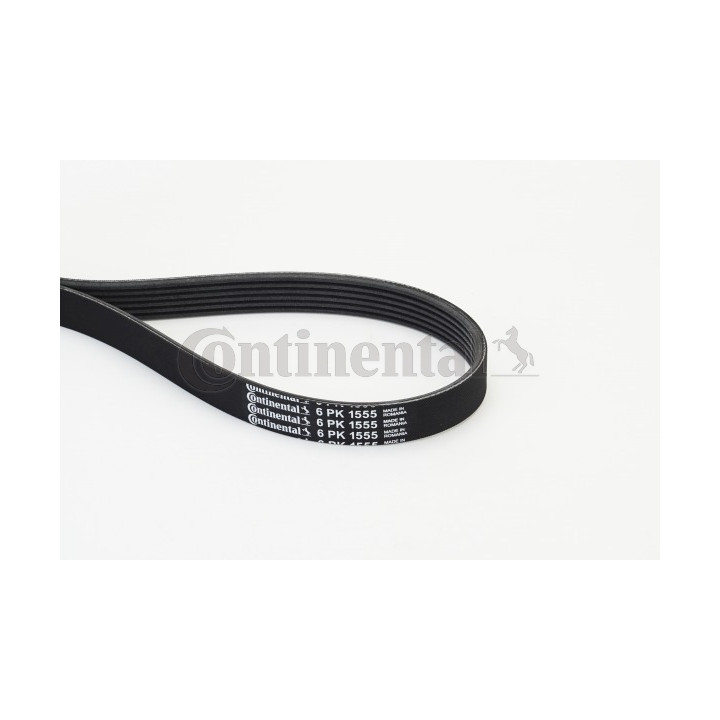 Pasek klinowy wielorowkowy CONTINENTAL CTAM 6PK1555