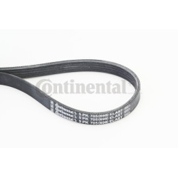 Pasek klinowy wielorowkowy CONTINENTAL CTAM 5PK705 ELAST