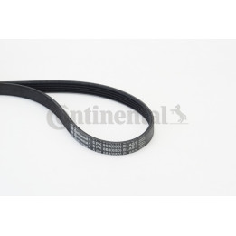 Pasek klinowy wielorowkowy CONTINENTAL CTAM 5PK868 ELAST