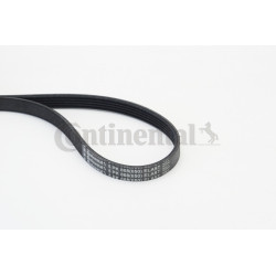 Pasek klinowy wielorowkowy CONTINENTAL CTAM 5PK868 ELAST