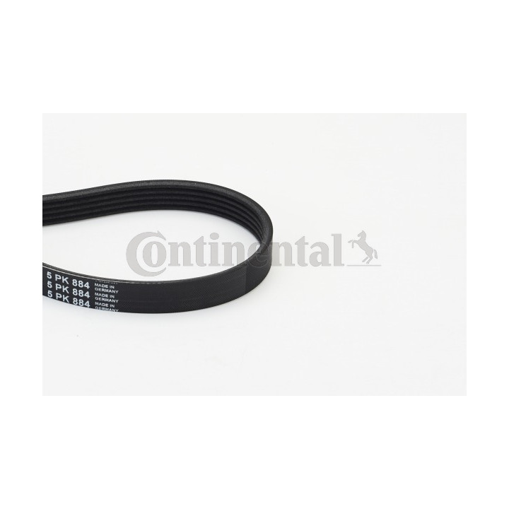 Pasek klinowy wielorowkowy CONTINENTAL CTAM 5PK884