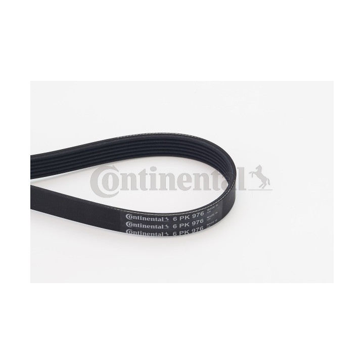 Pasek klinowy wielorowkowy CONTINENTAL CTAM 6PK976