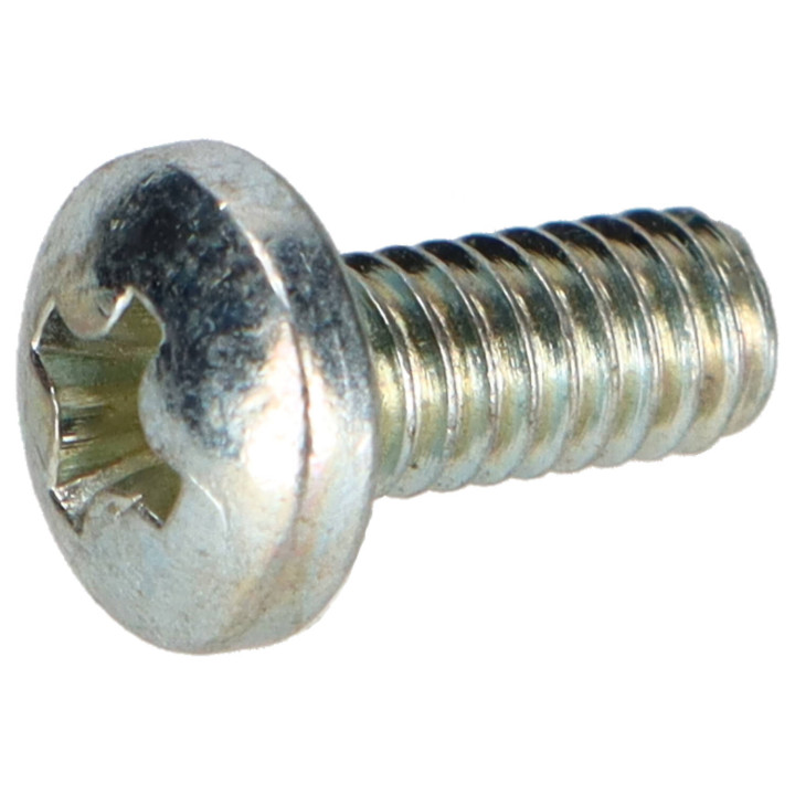 Screw Volvo (950010)