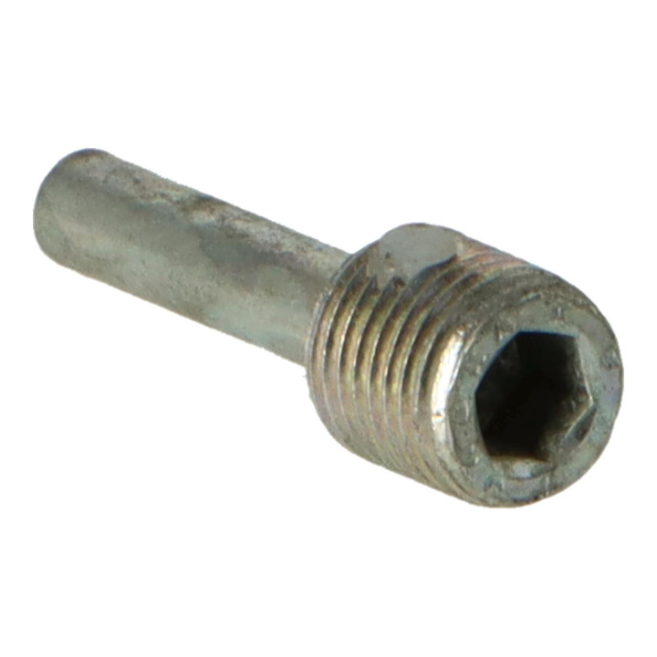 Guide pin Volvo (1203025)