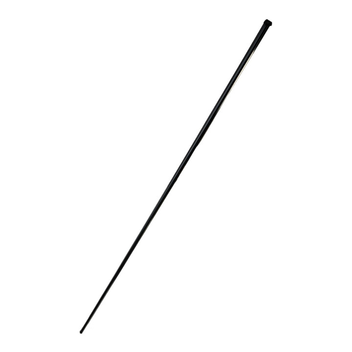 Trim moulding Volvo (1246613)