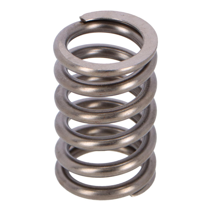 Valve spring Volvo (9135130)