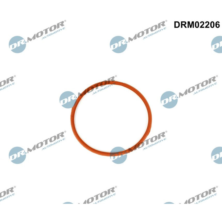 Uszczelka, króciec przepustnicy Dr.Motor Automotive DRM02206