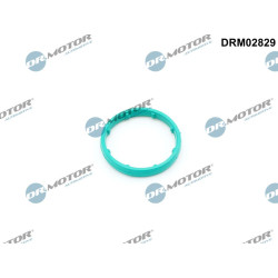 Uszczelka chłodnicy oleju Dr.Motor Automotive DRM02829