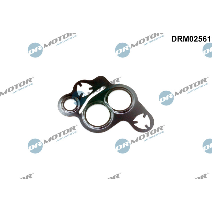 Uszczelka zaworu EGR Dr.Motor Automotive DRM02561