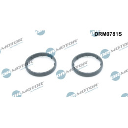 Uszczelka chłodnicy oleju Dr.Motor Automotive DRM0781S