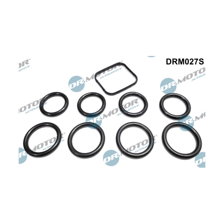 Zestaw uszczelek kolektora dolotowego Dr.Motor Automotive DRM027S