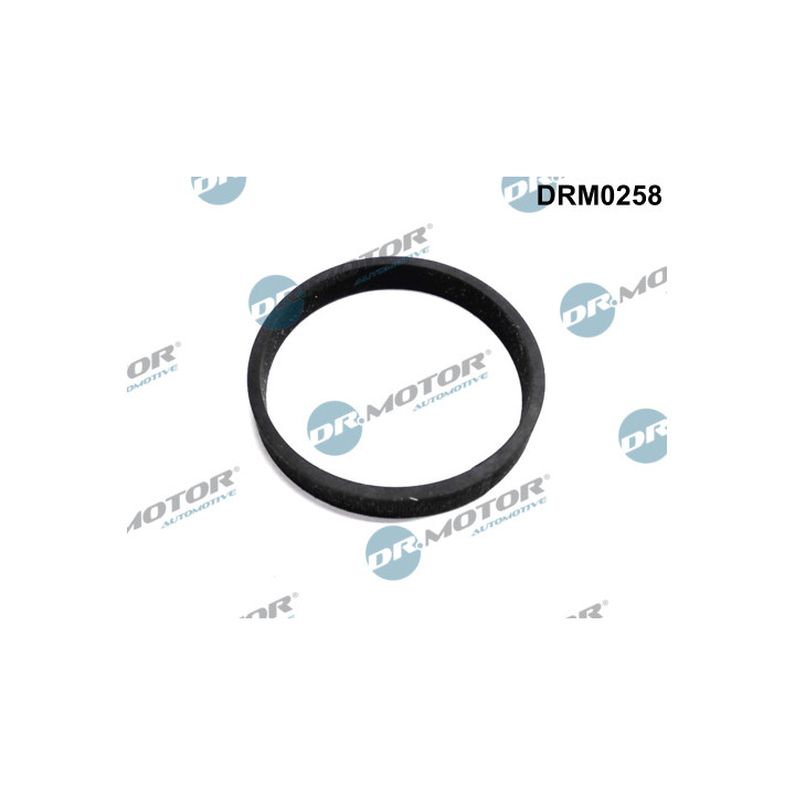 Uszczelnienie, wejście do turbiny (doładowanie) Dr.Motor Automotive DRM0258
