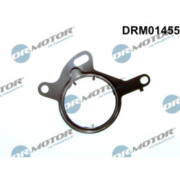 Uszczelka, pompa podciśnieniowa Dr.Motor Automotive DRM01455